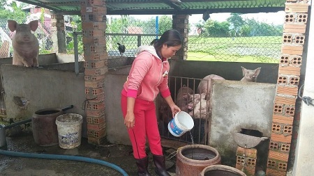 12052025GUONGTIEUBIEUHINH01.jpg